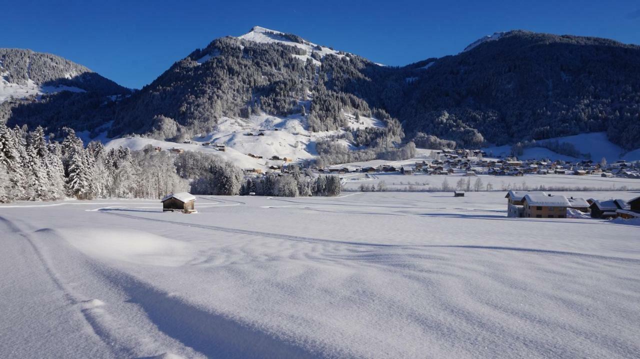 Appartamento Haus Felder Schoppernau Esterno foto